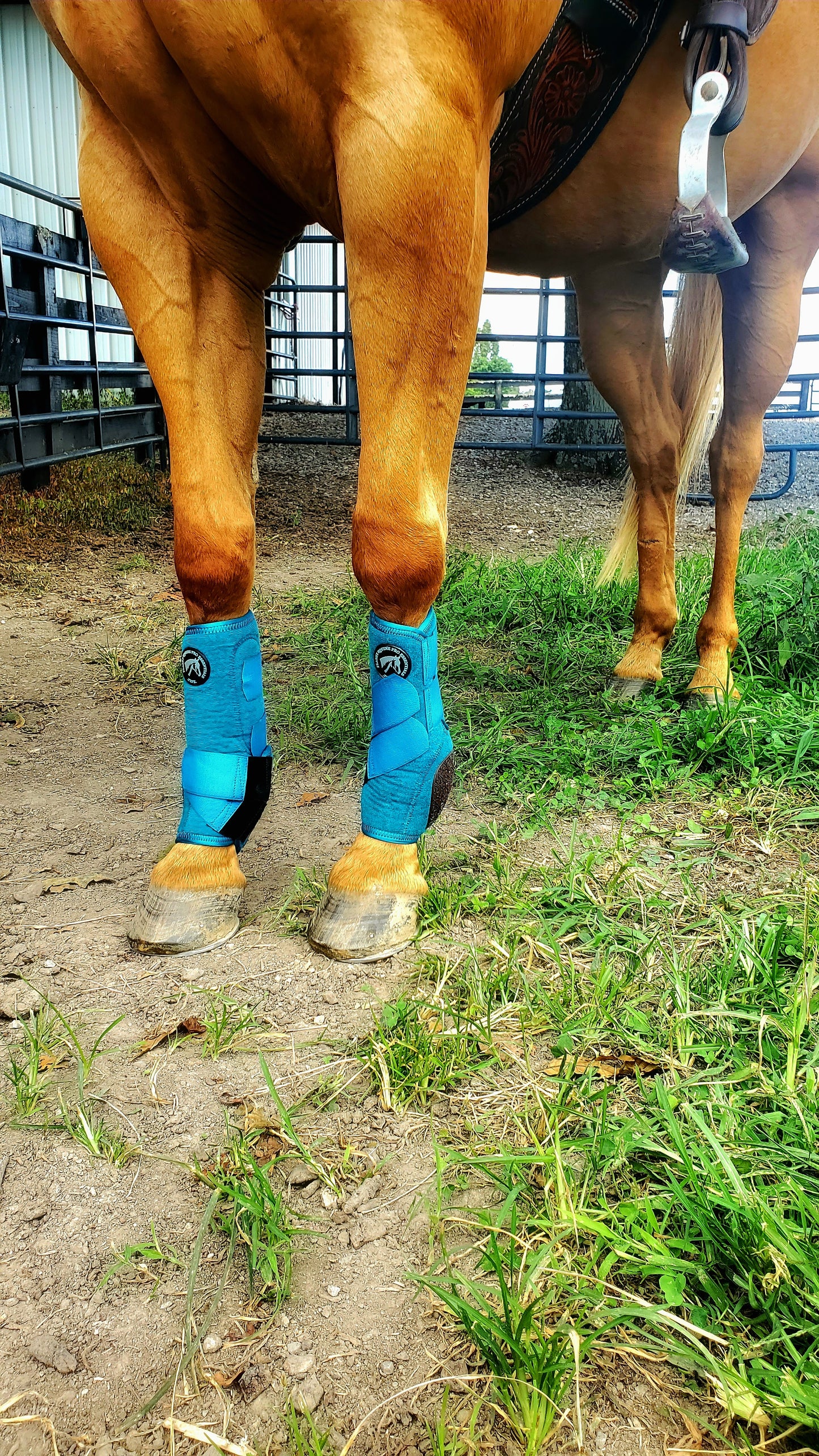 FlashFlex Support Boot-Black