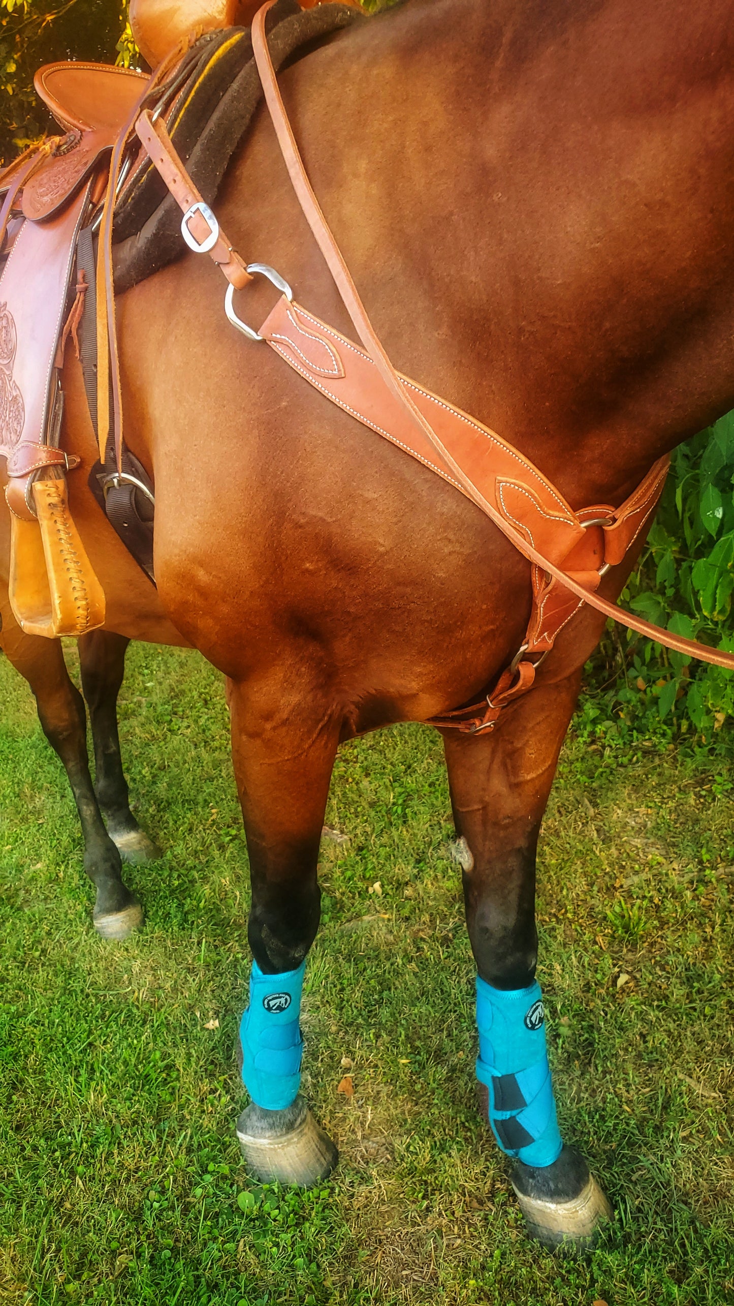 Harness Leather Breast Collar D Ring