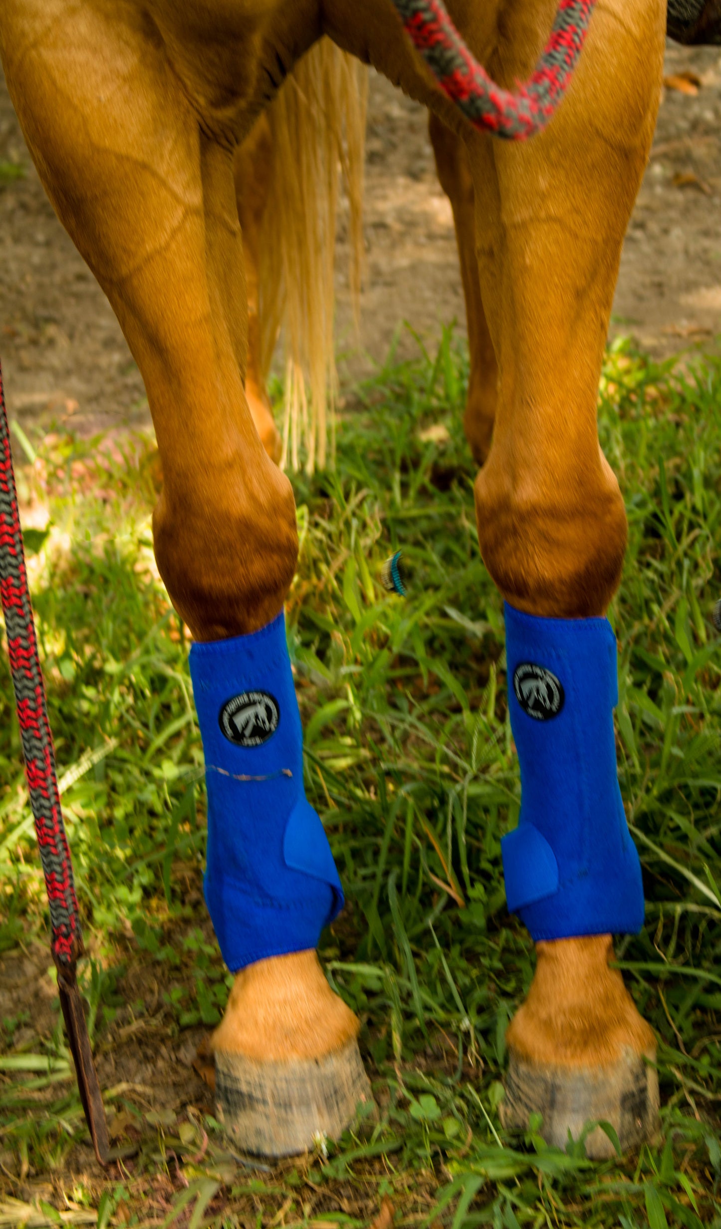 FlashCool Sport Boot-Checker