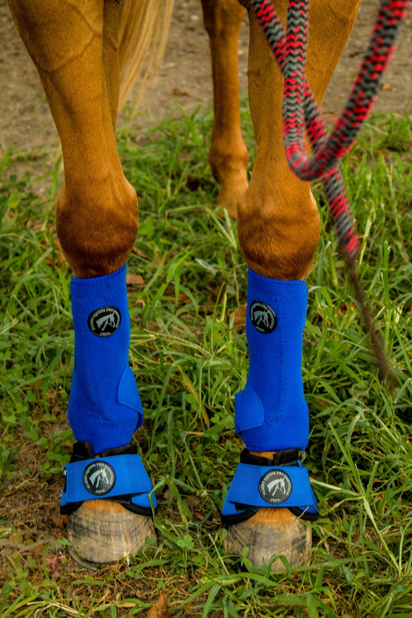 FlashCool Sport Boot-Checker