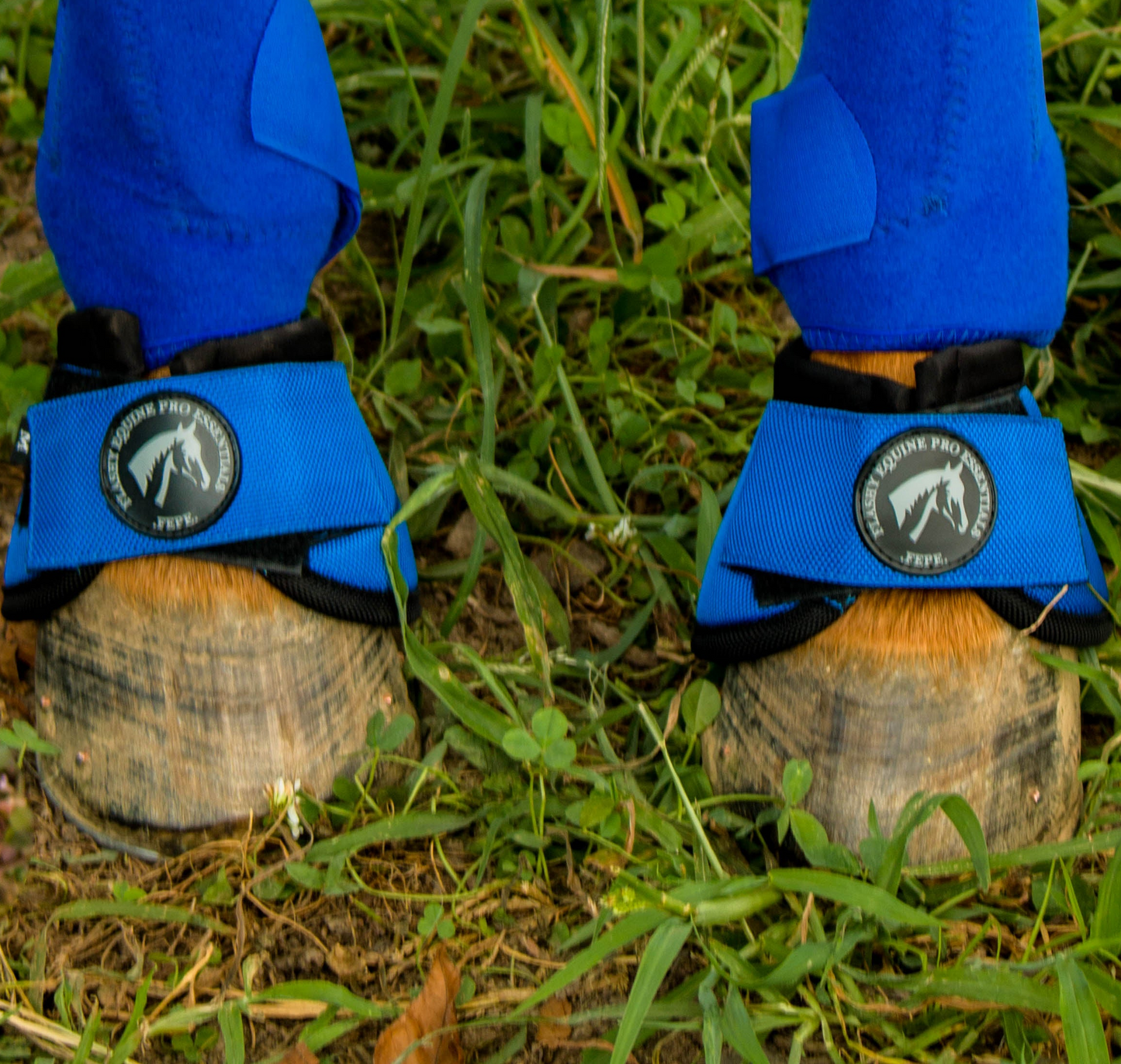 FlashGuard No Turn Bell Boot-Teal