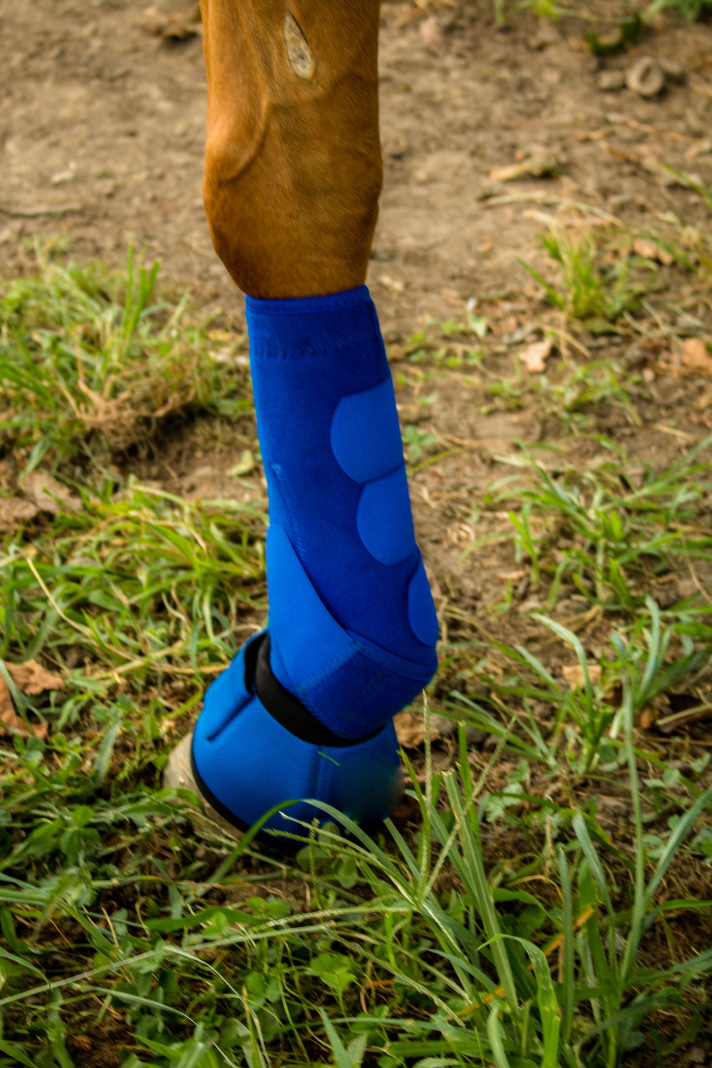 FlashCool Sport Boot-Checker