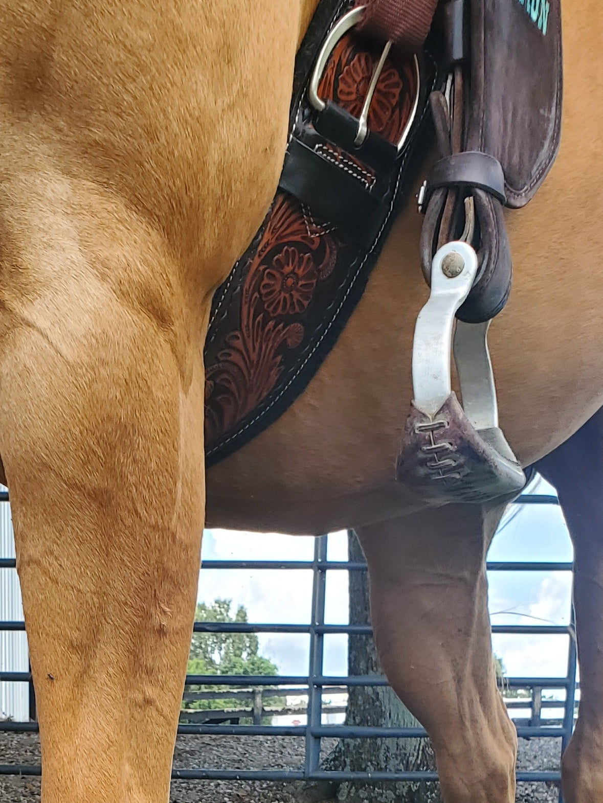 Tooled Leather Cinch